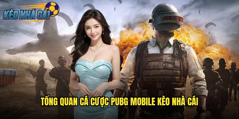 PUBG Mobile Kèo Nhà Cái Đặt Cược Esports Di Động Số Một Thế Giới 2 Tổng Quan Cá Cược PUBG Mobile Kèo Nhà Cái