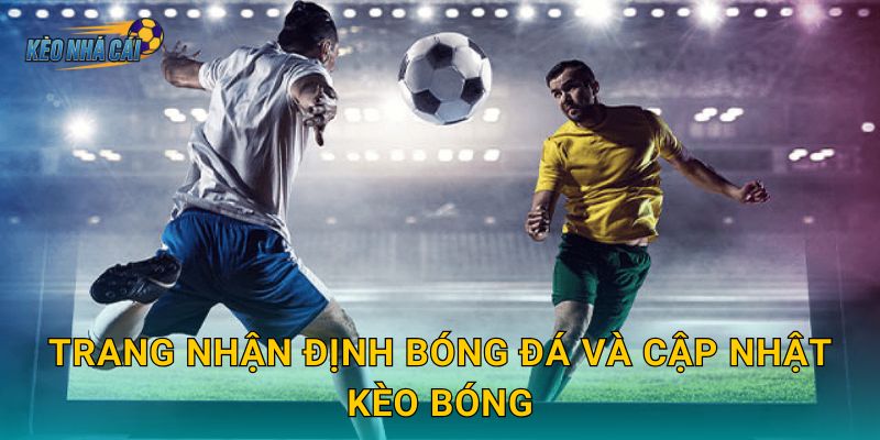 Kèo Nhà Cái 41 Trang nhận định bóng đá và cập nhật kèo bóng